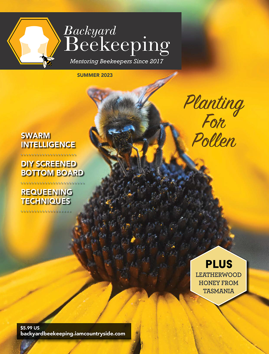 Backyard Beekeeping